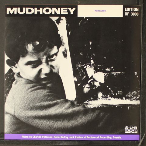 MUDHONEY/ SONIC YOUTH