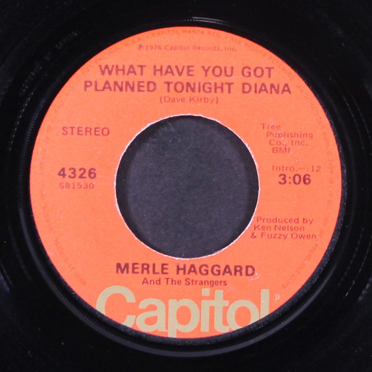 cherokee maiden / what have you got planned tonight diana by MERLE HAGGARD