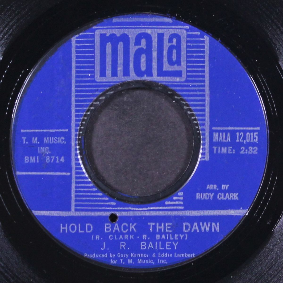 hold back the dawn / too late by J.R. BAILEY