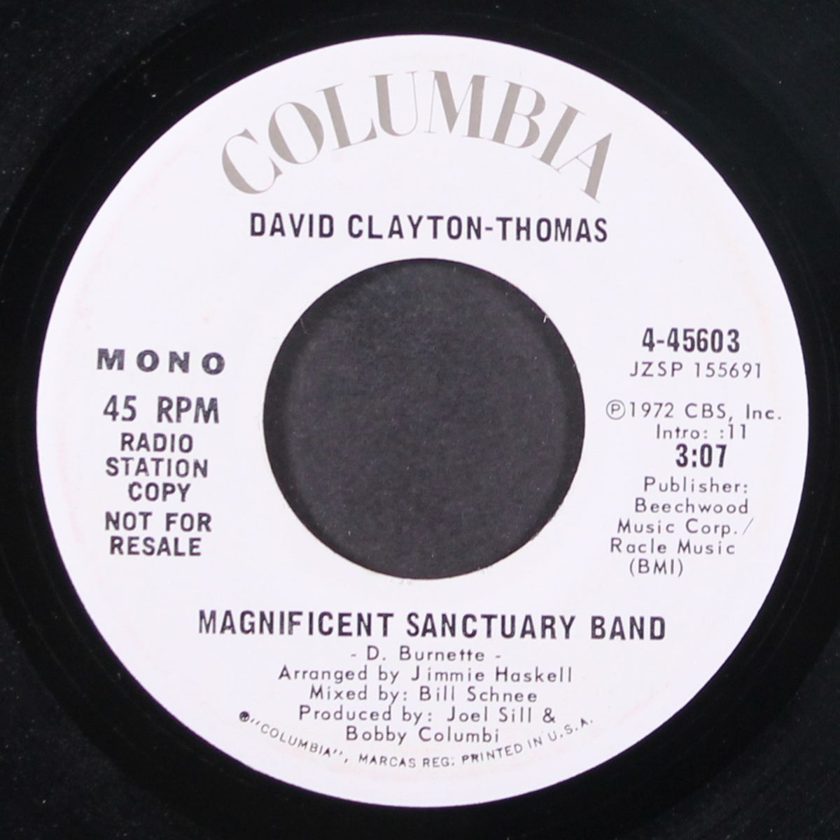 magnificent sanctuary band by DAVID CLAYTON-THOMAS