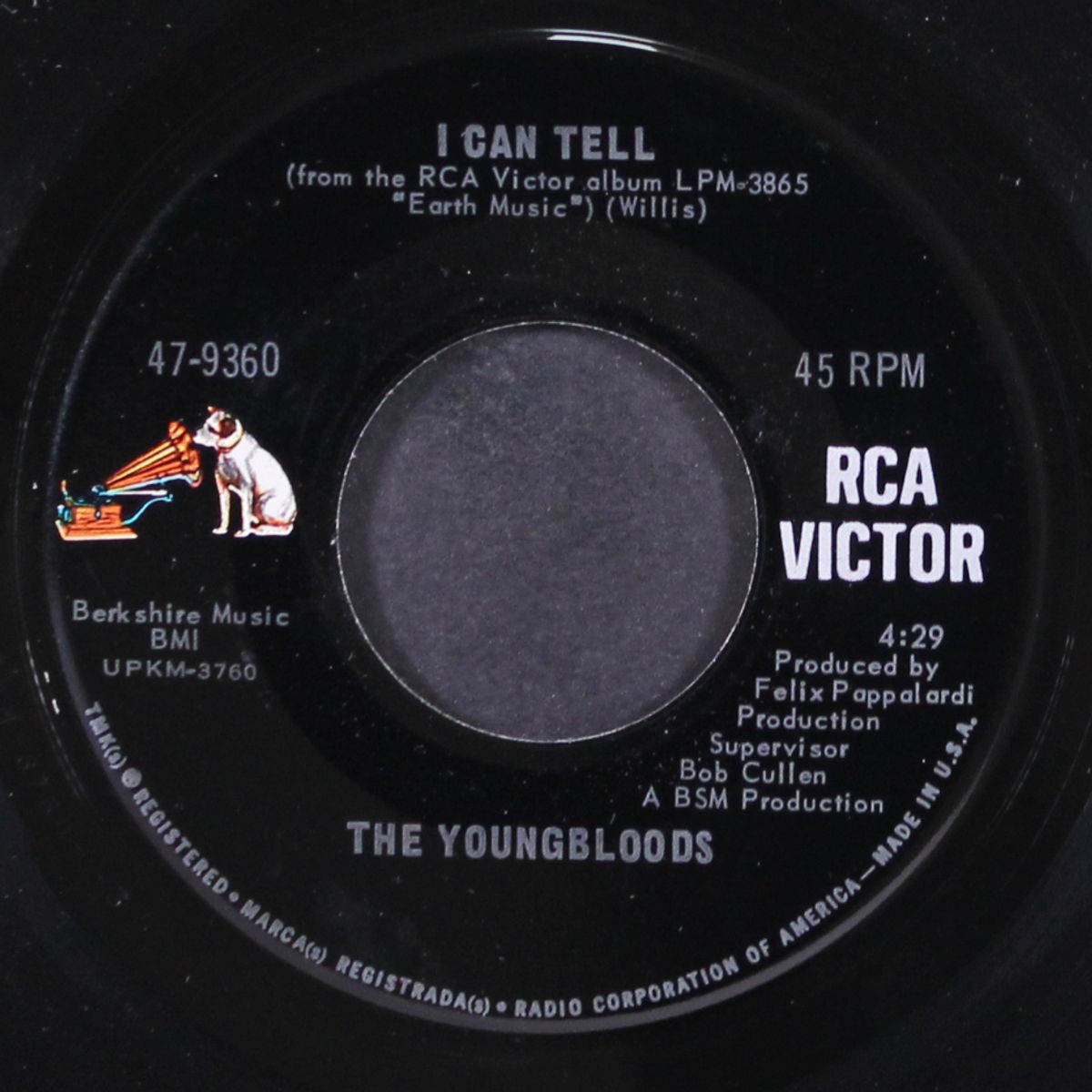 fool me / i can tell by YOUNGBLOODS