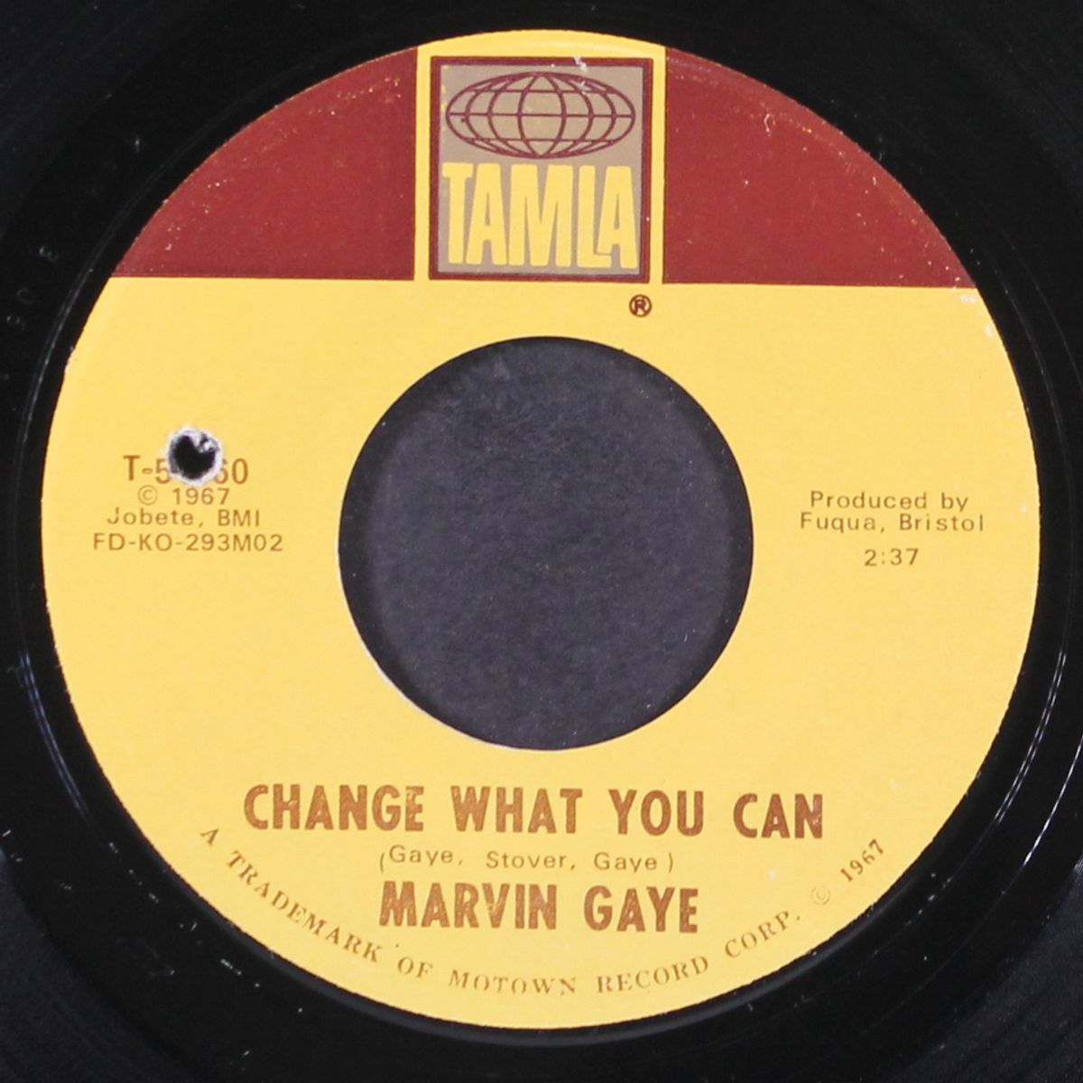 you / change what you can by MARVIN GAYE