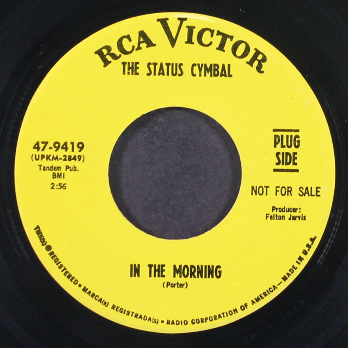 in the morning by STATUS CYMBAL