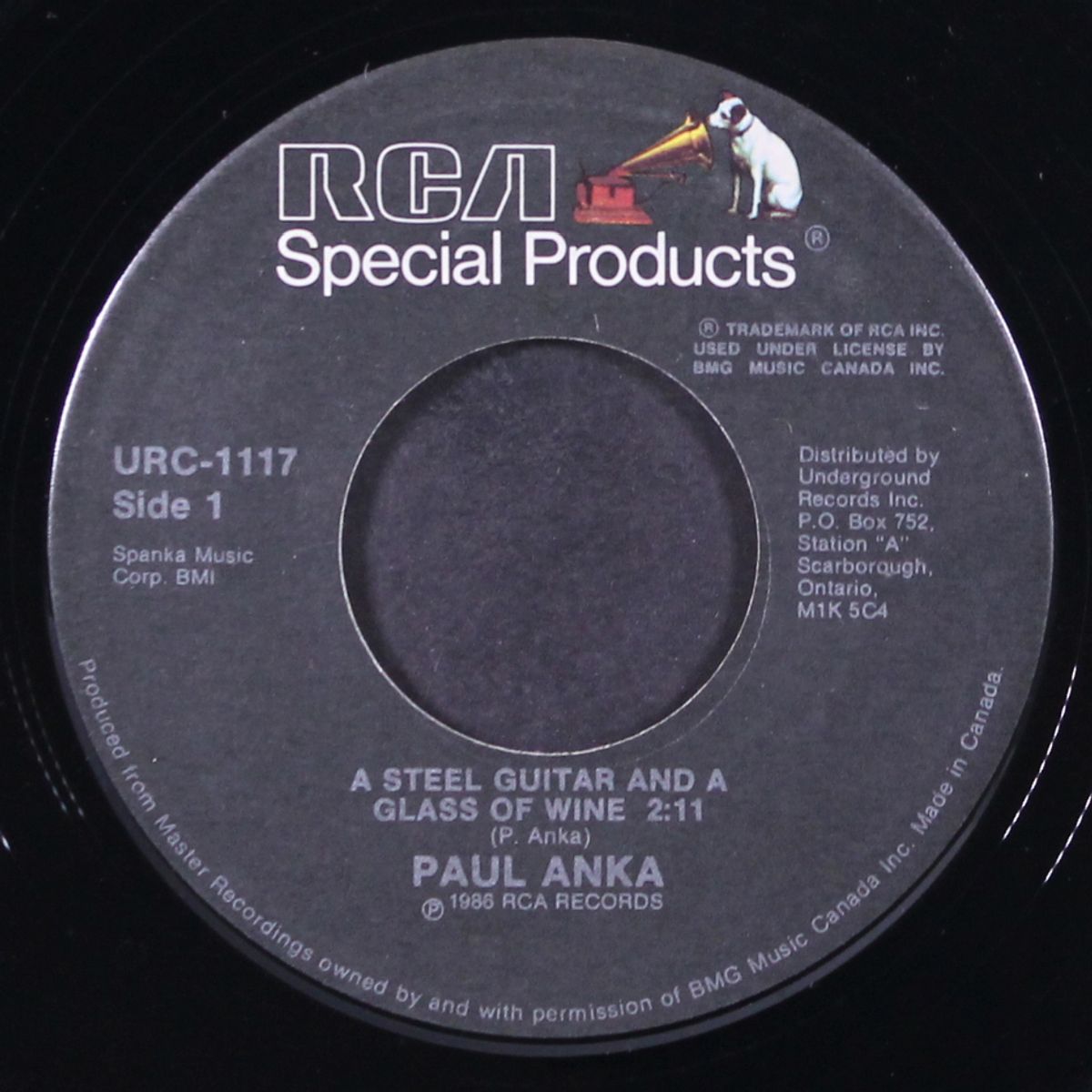 a steel guitar and a glass of wine / love me warm and tender by PAUL ANKA