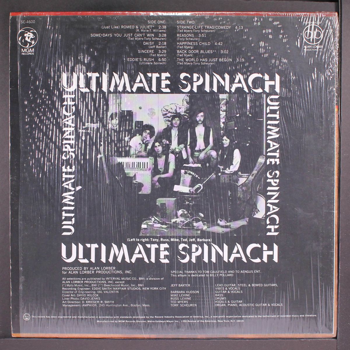 the ultimate spinach by ULTIMATE SPINACH