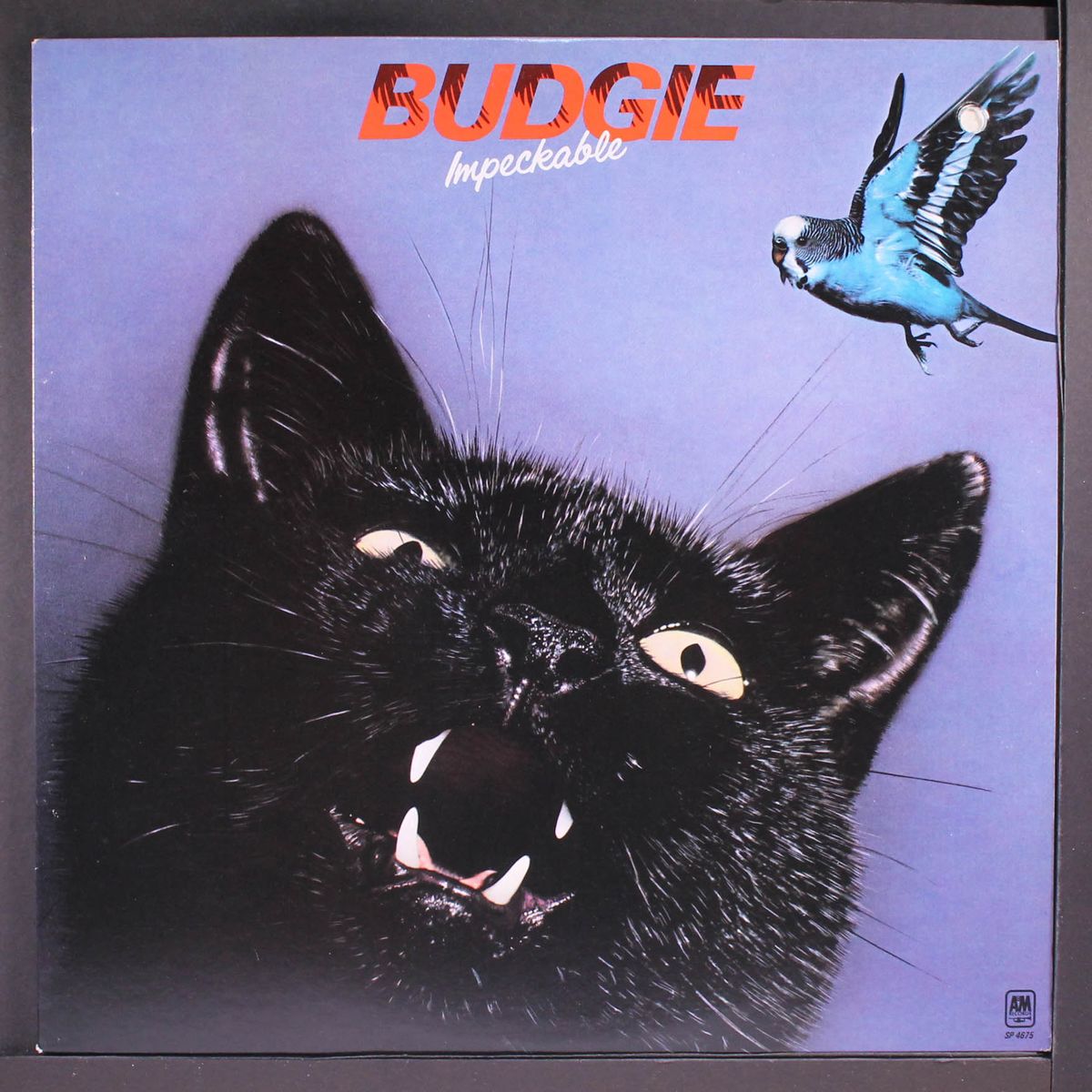 impeckable by BUDGIE
