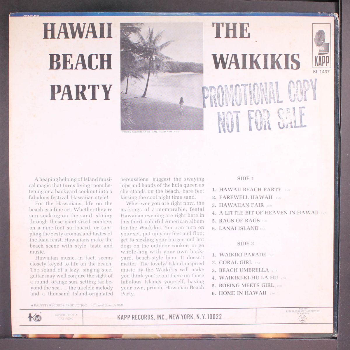 hawaii beach party by WAIKIKIS