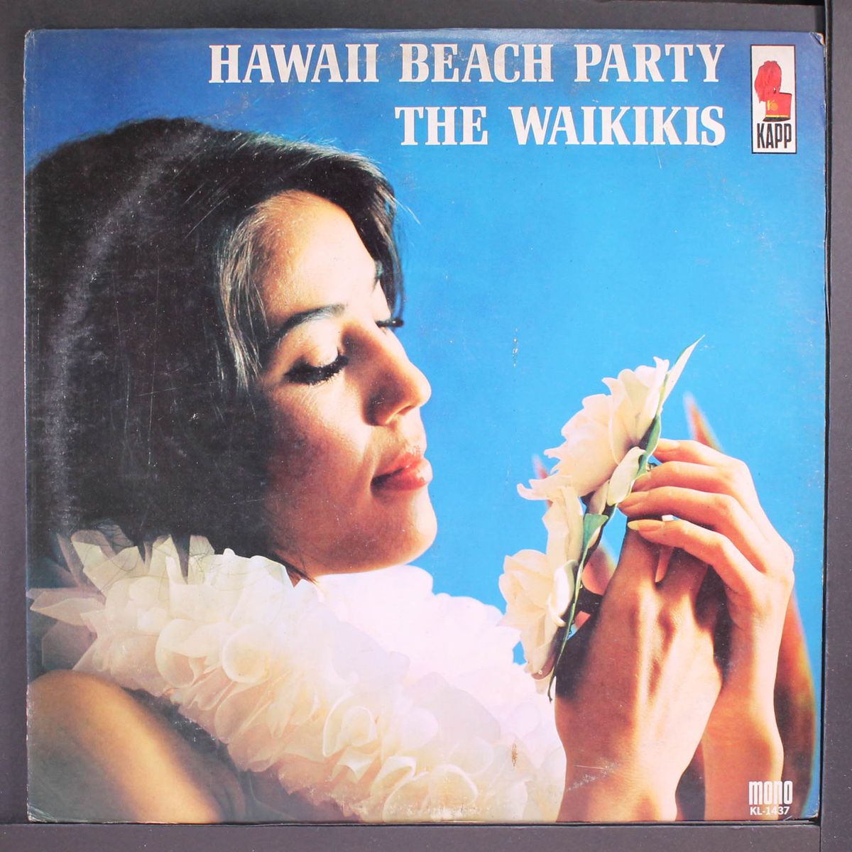 hawaii beach party by WAIKIKIS