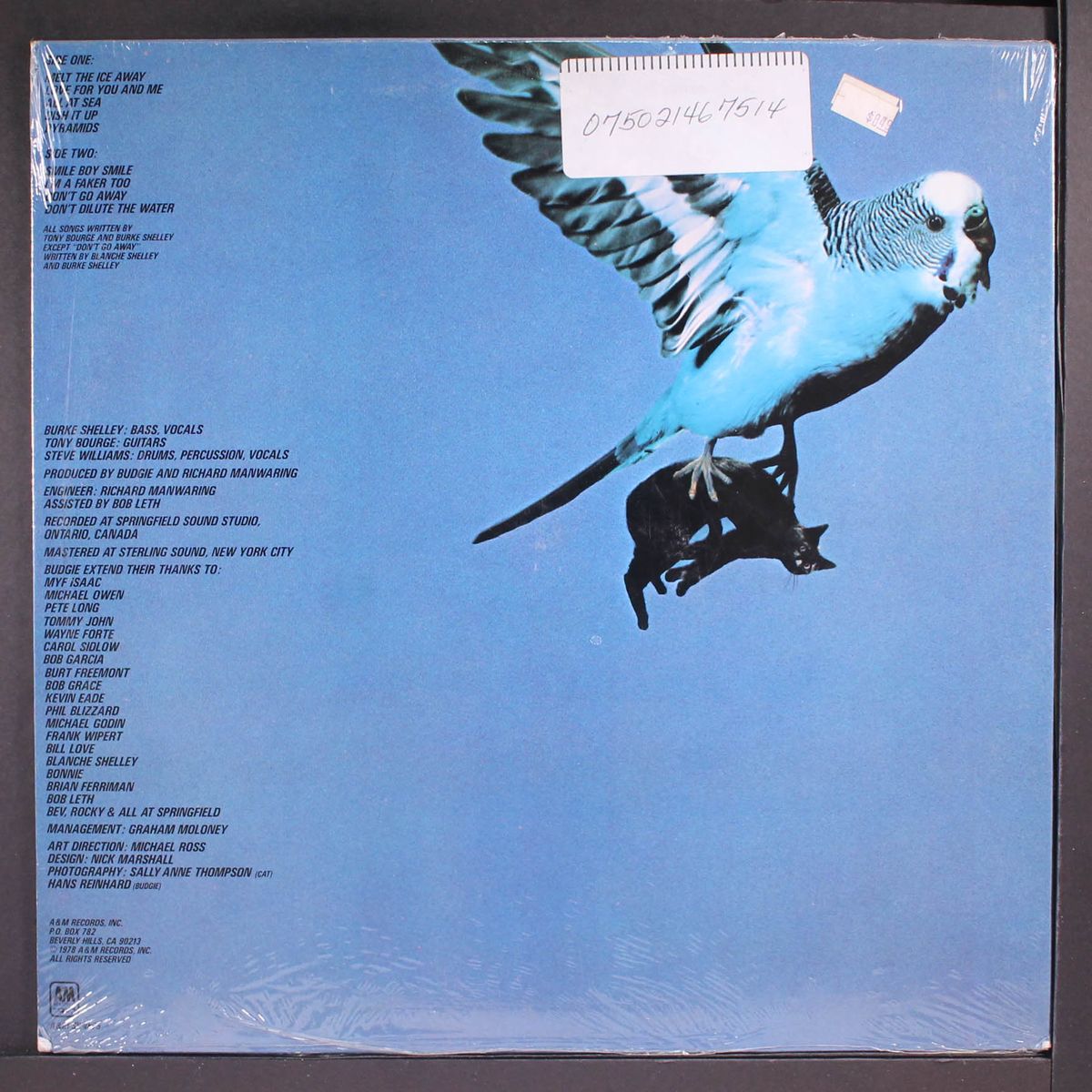 impeckable by BUDGIE