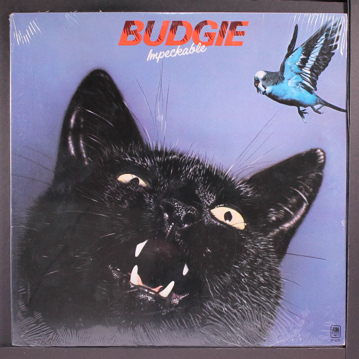 impeckable by BUDGIE