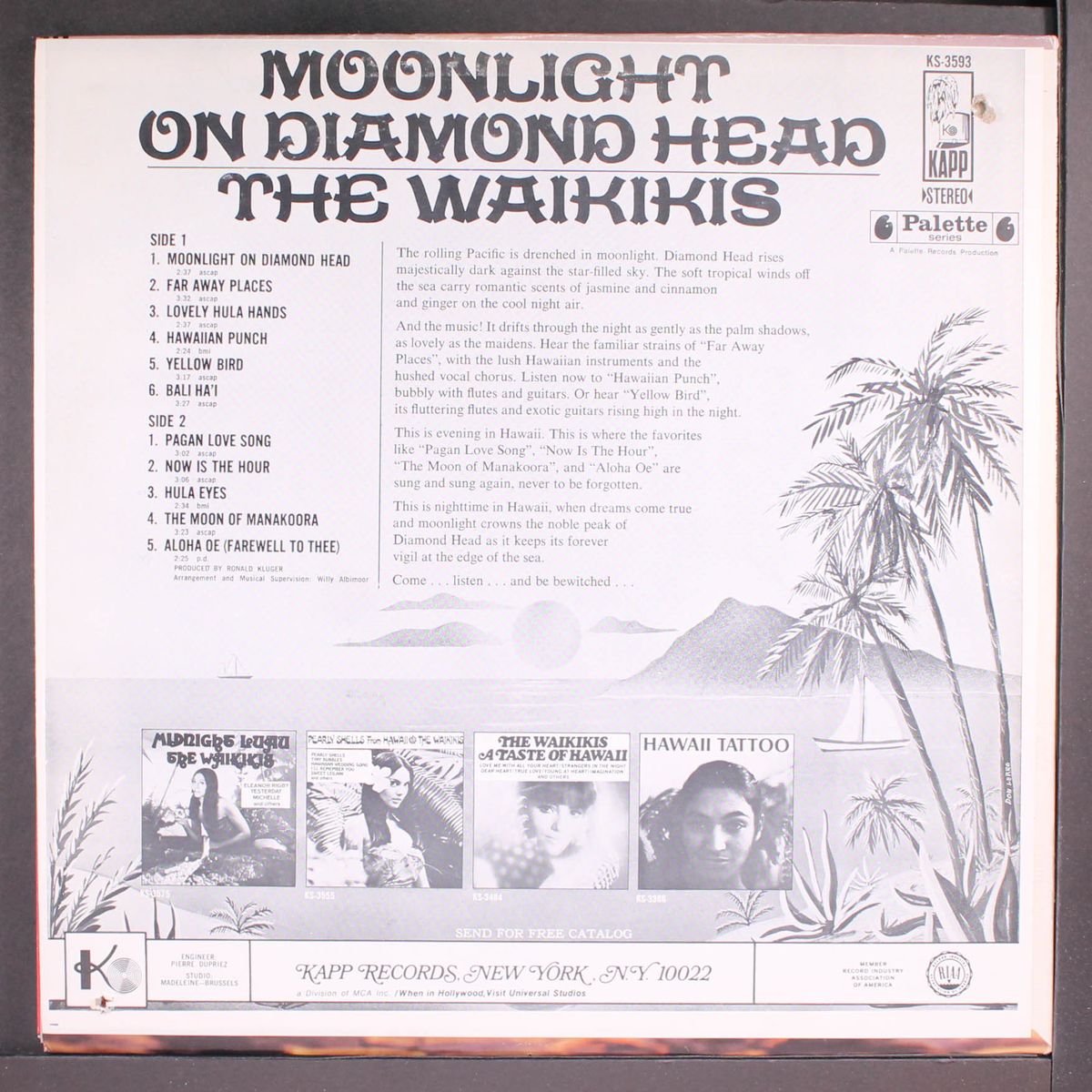 moonlight on diamond head by WAIKIKIS