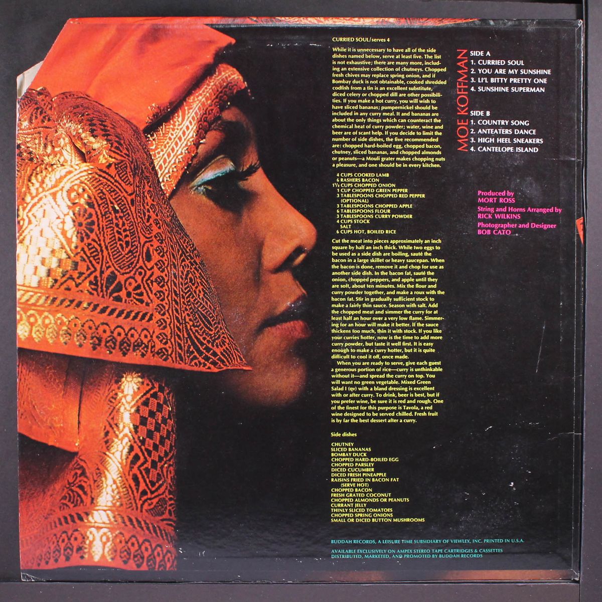 moe's curried soul by MOE KOFFMAN