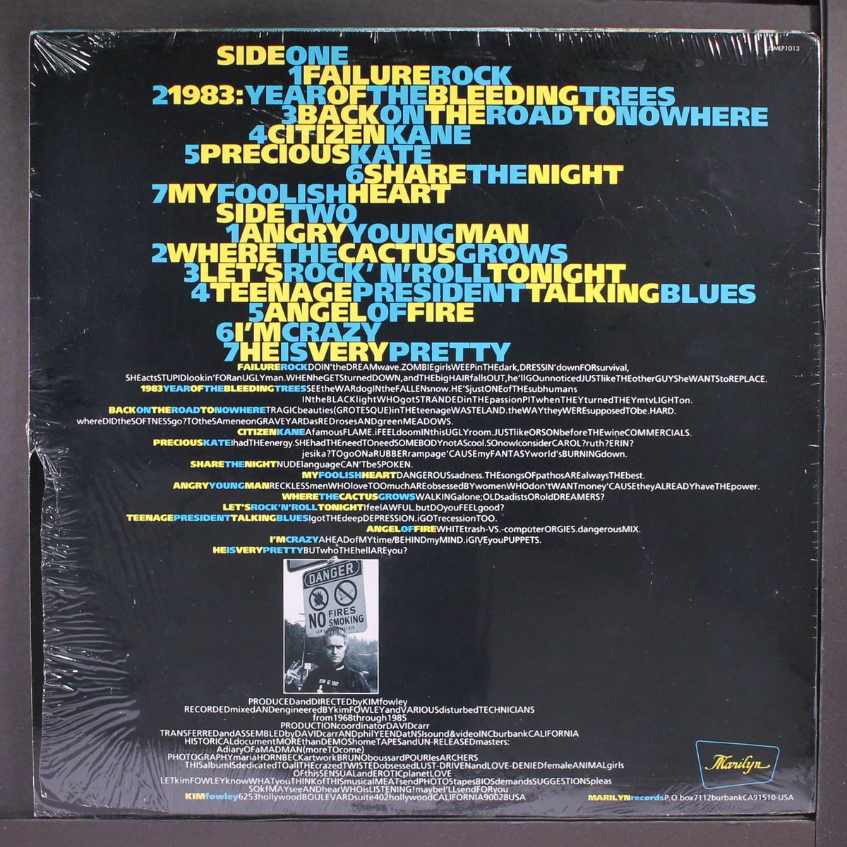 hotel insomnia by KIM FOWLEY