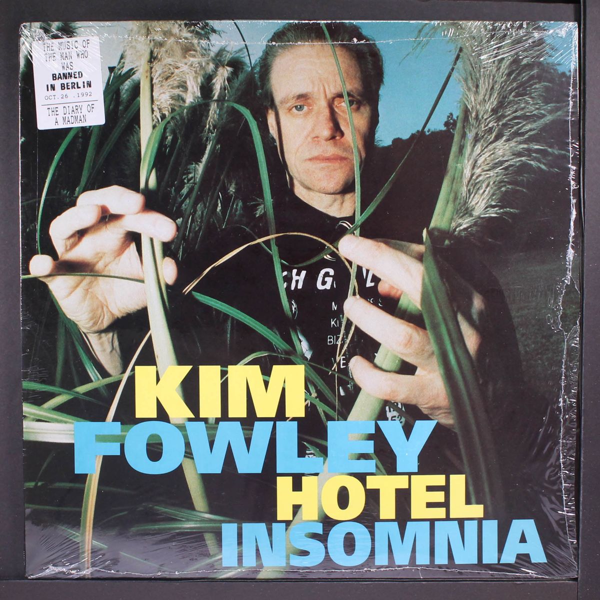 hotel insomnia by KIM FOWLEY
