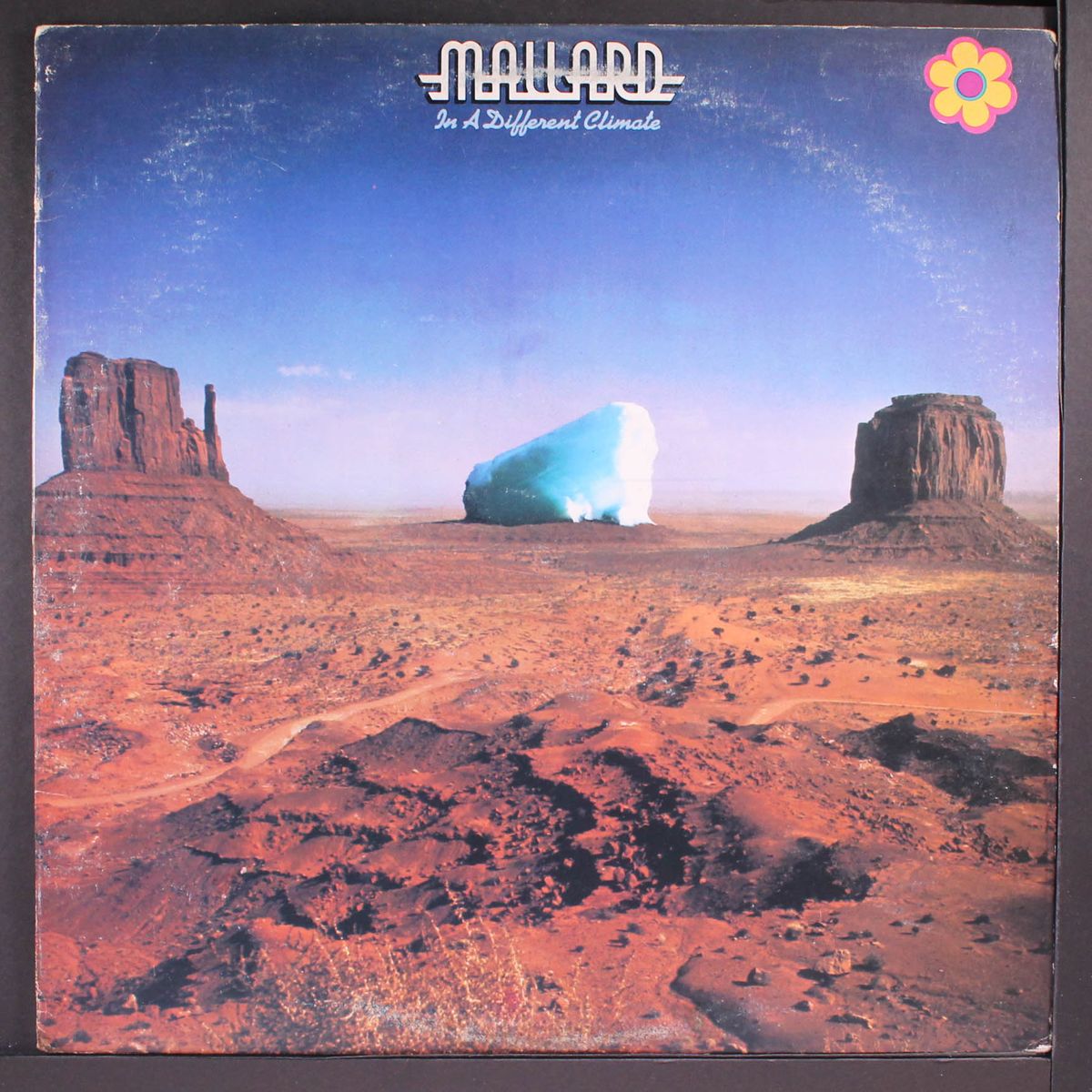 in a different climate by MALLARD