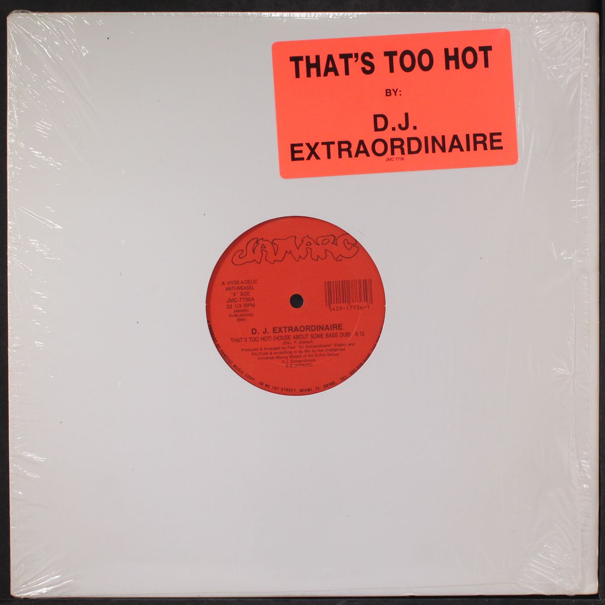 that's too hot! by D.J. EXTRAORDINAIRE