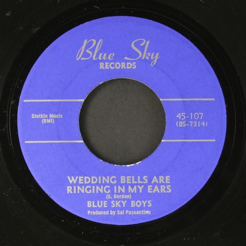 BLUE SKY BOYS / DADDY COOL