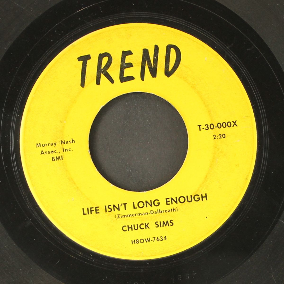 little pigeon / life isn't long enough by CHUCK SIMS