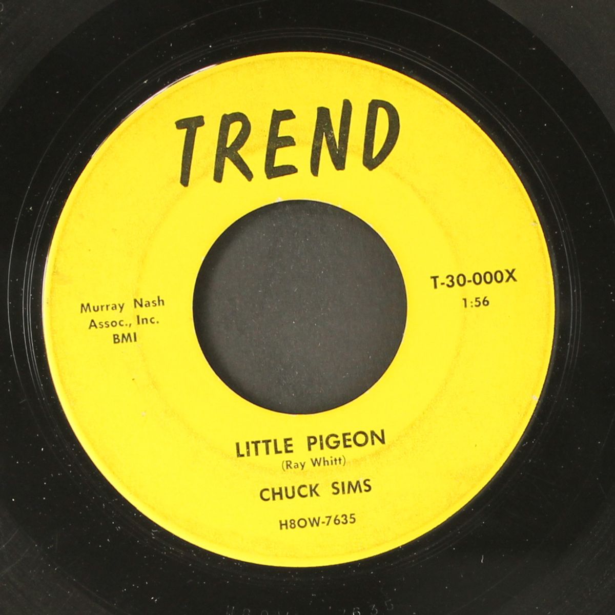 little pigeon / life isn't long enough by CHUCK SIMS