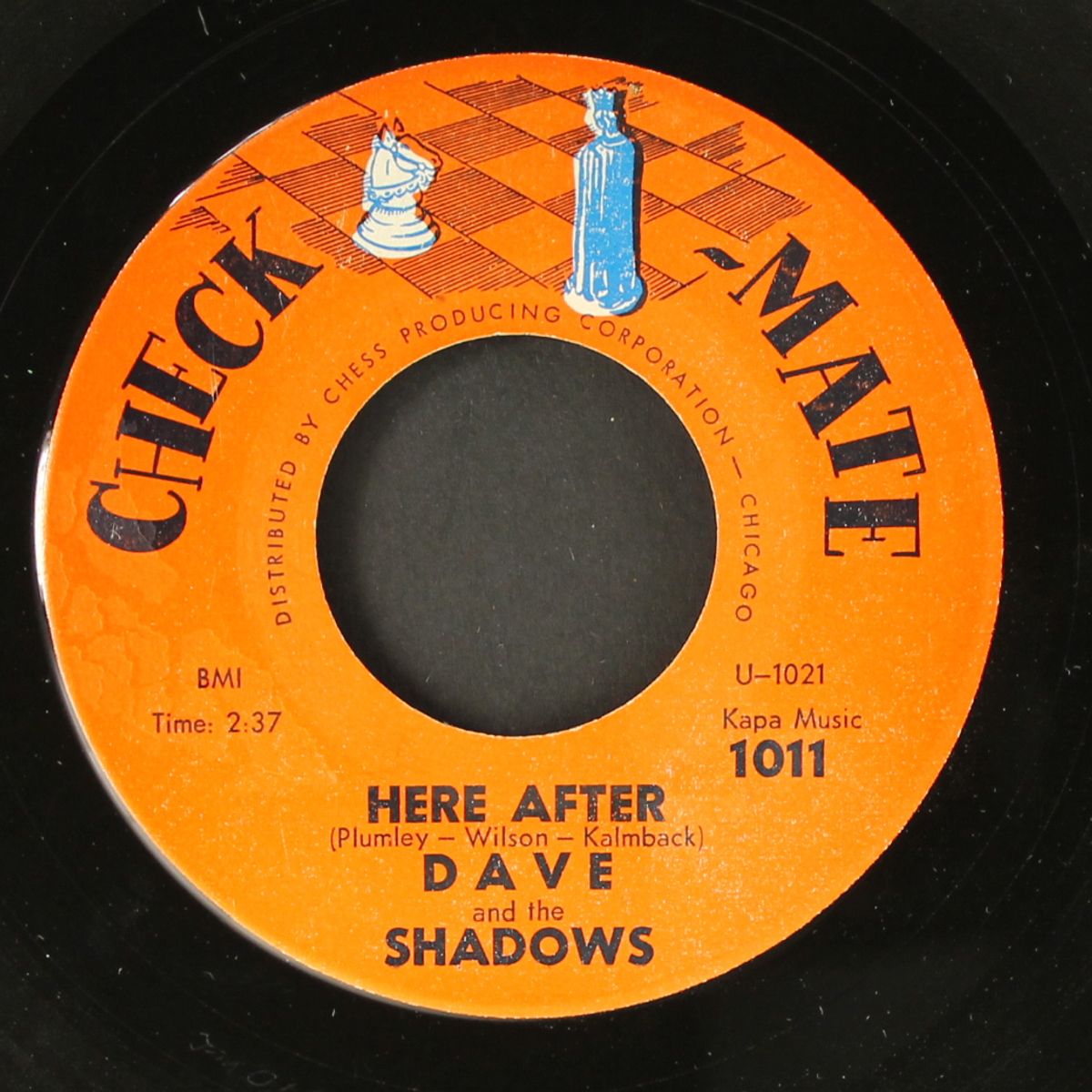 blue down / here after by DAVE & SHADOWS