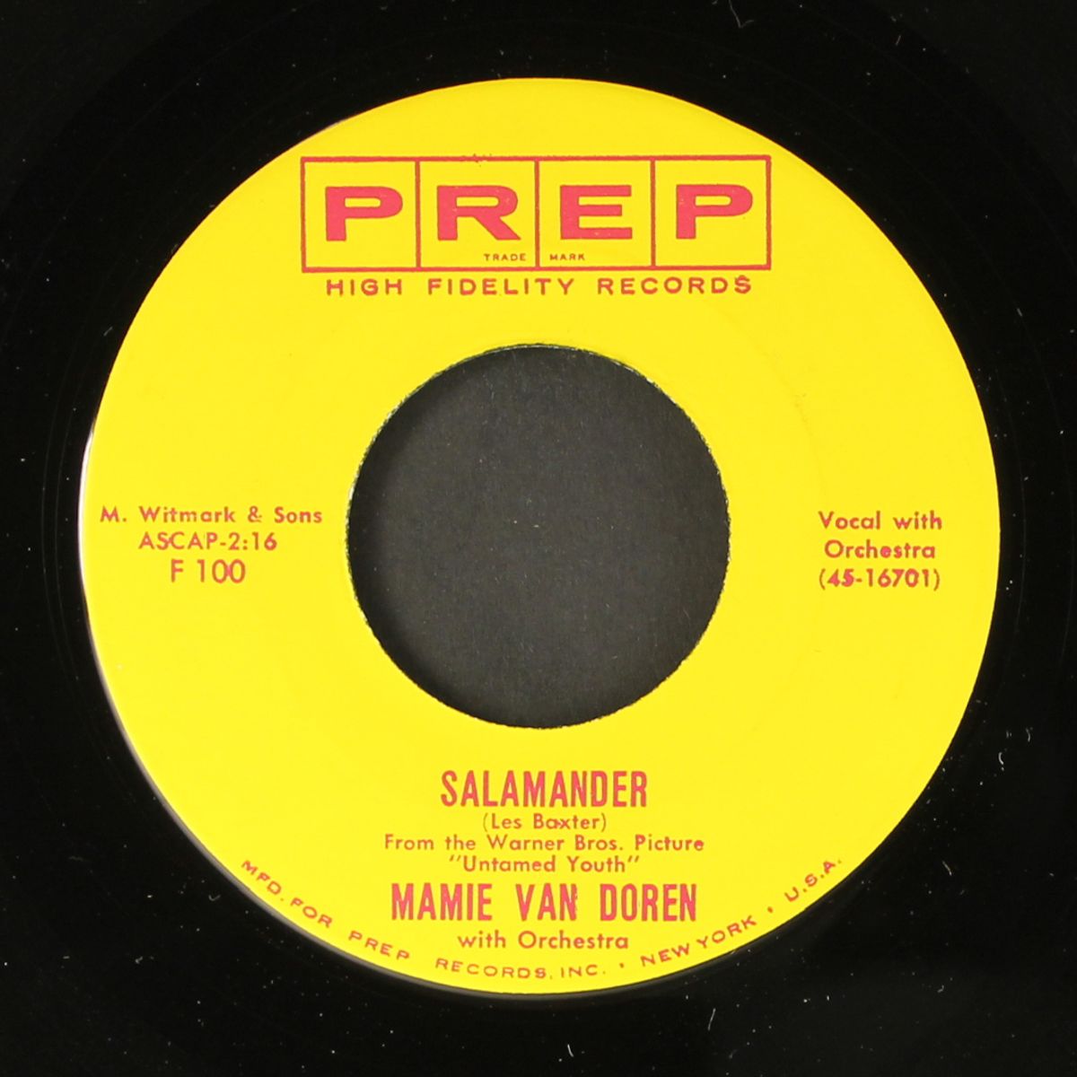 salamander / go, go, calypso! by MAMIE VAN DOREN