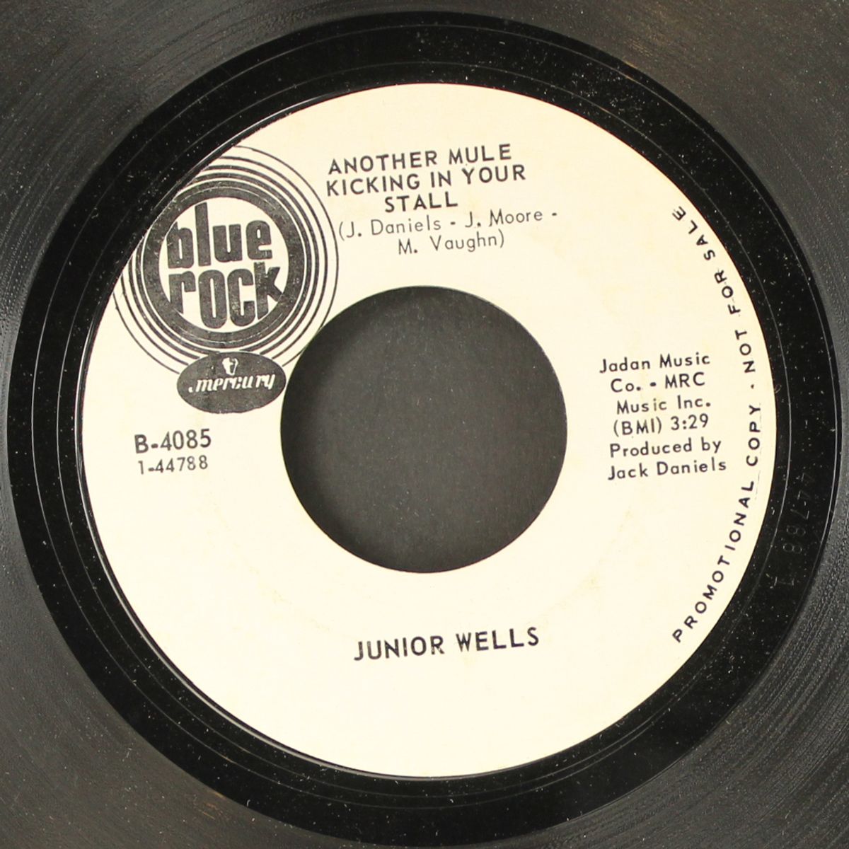 another mule kicking in your stall / party power by JUNIOR WELLS