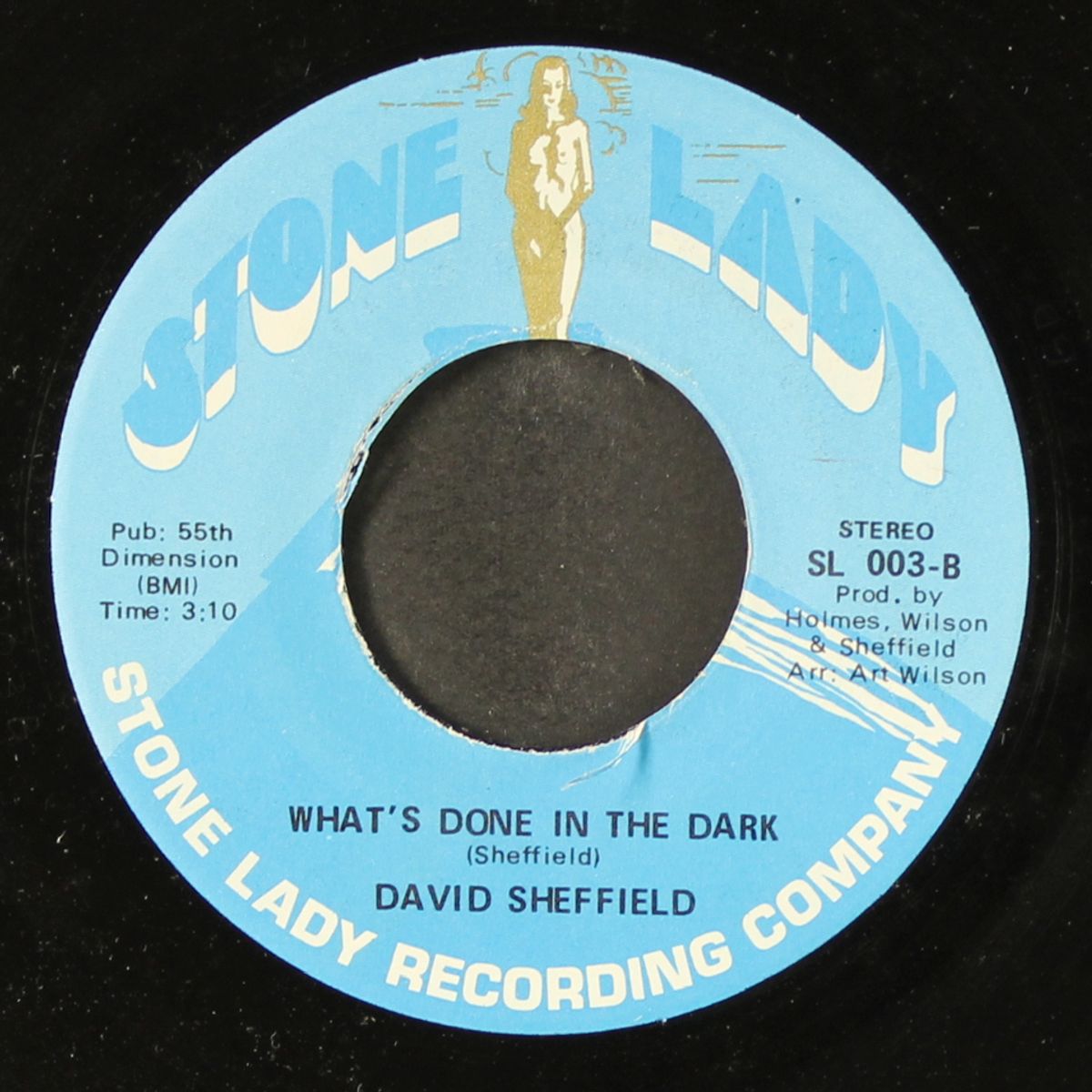 i should have listened / what's done in the dark by DAVID SHEFFIELD