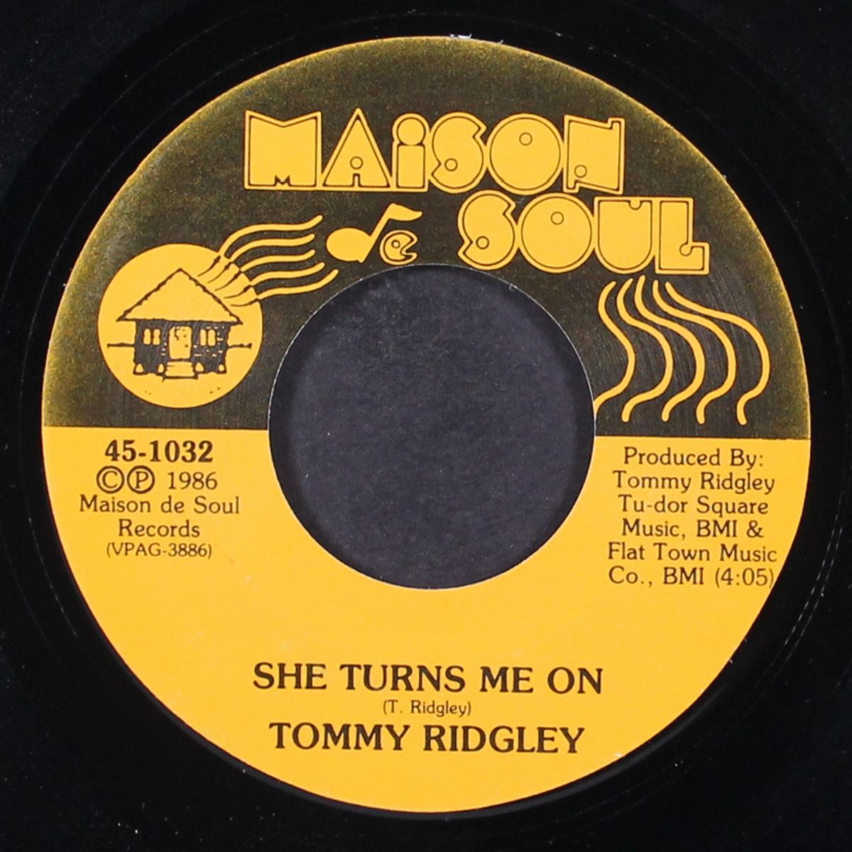 boogie train / she turns me on by TOMMY RIDGLEY
