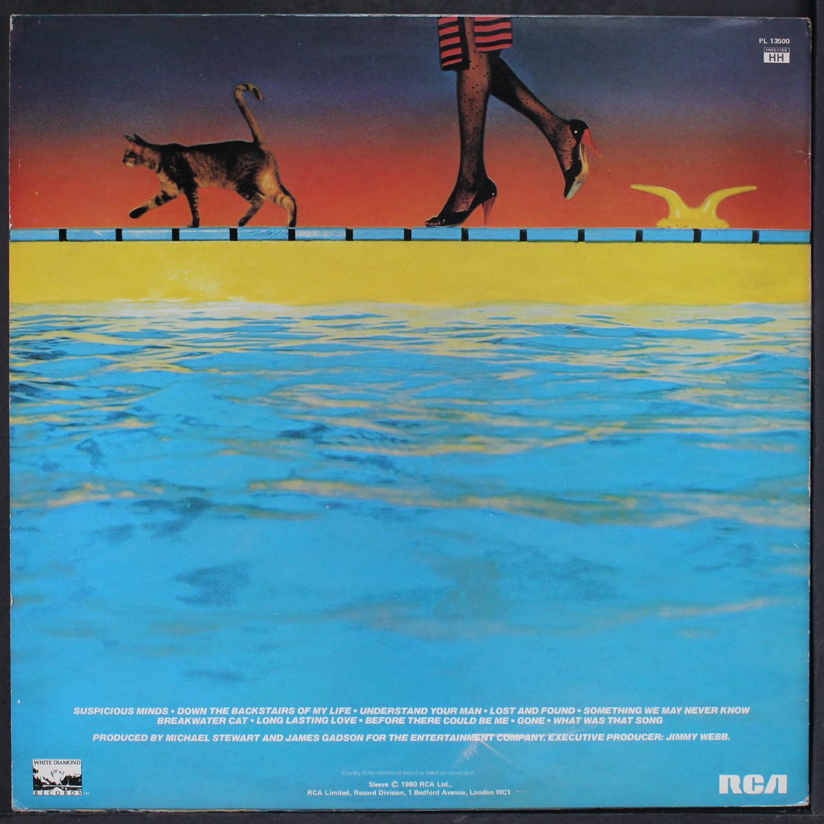 breakwater cat by THELMA HOUSTON