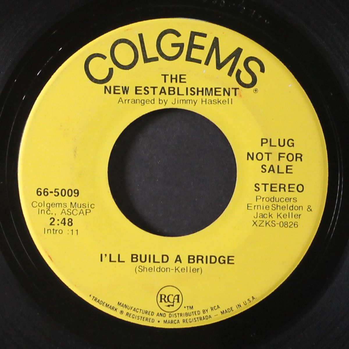 i'll build a bridge / seattle by NEW ESTABLISHMENT