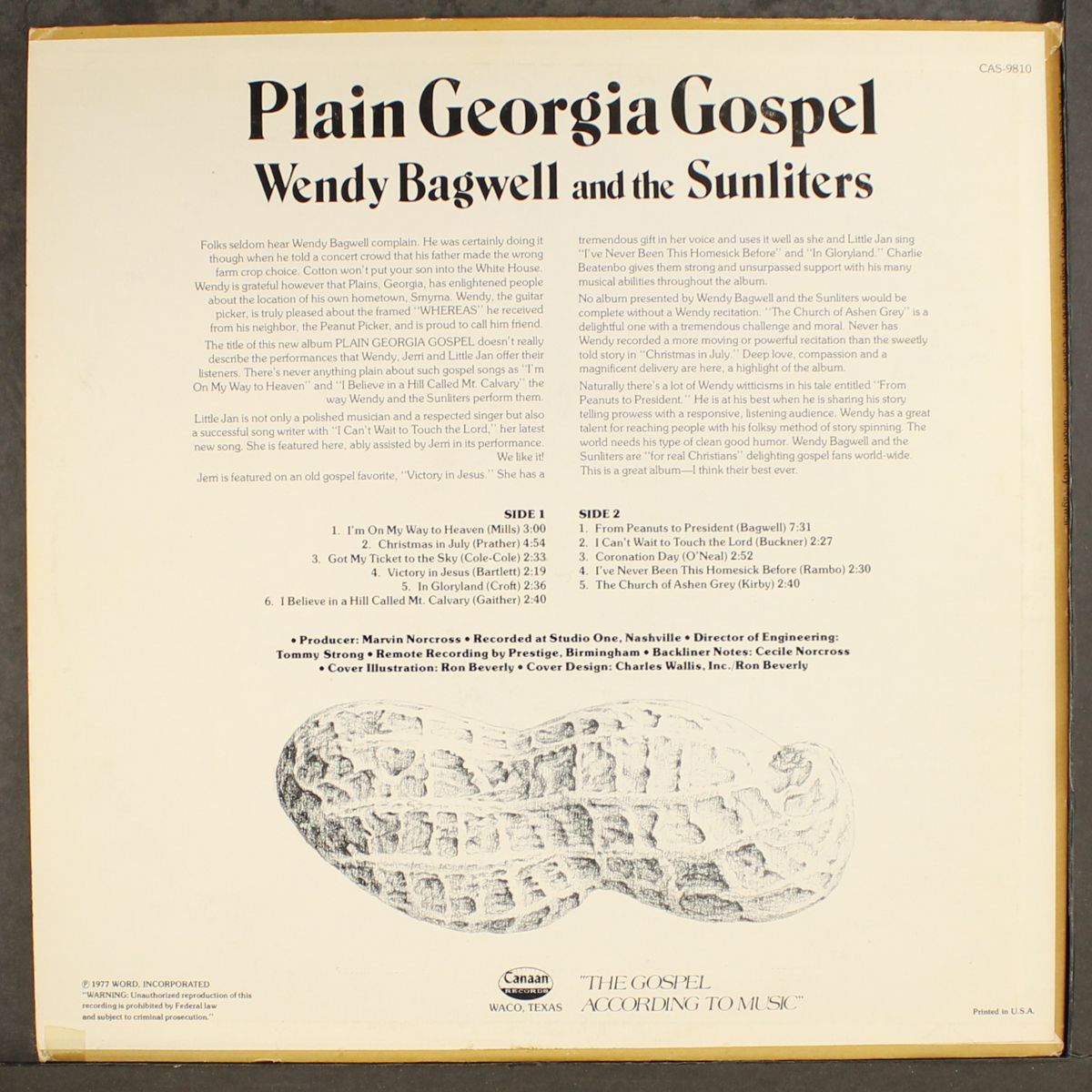 plain georgia gospel by WENDY BAGWELL & SUNLITERS