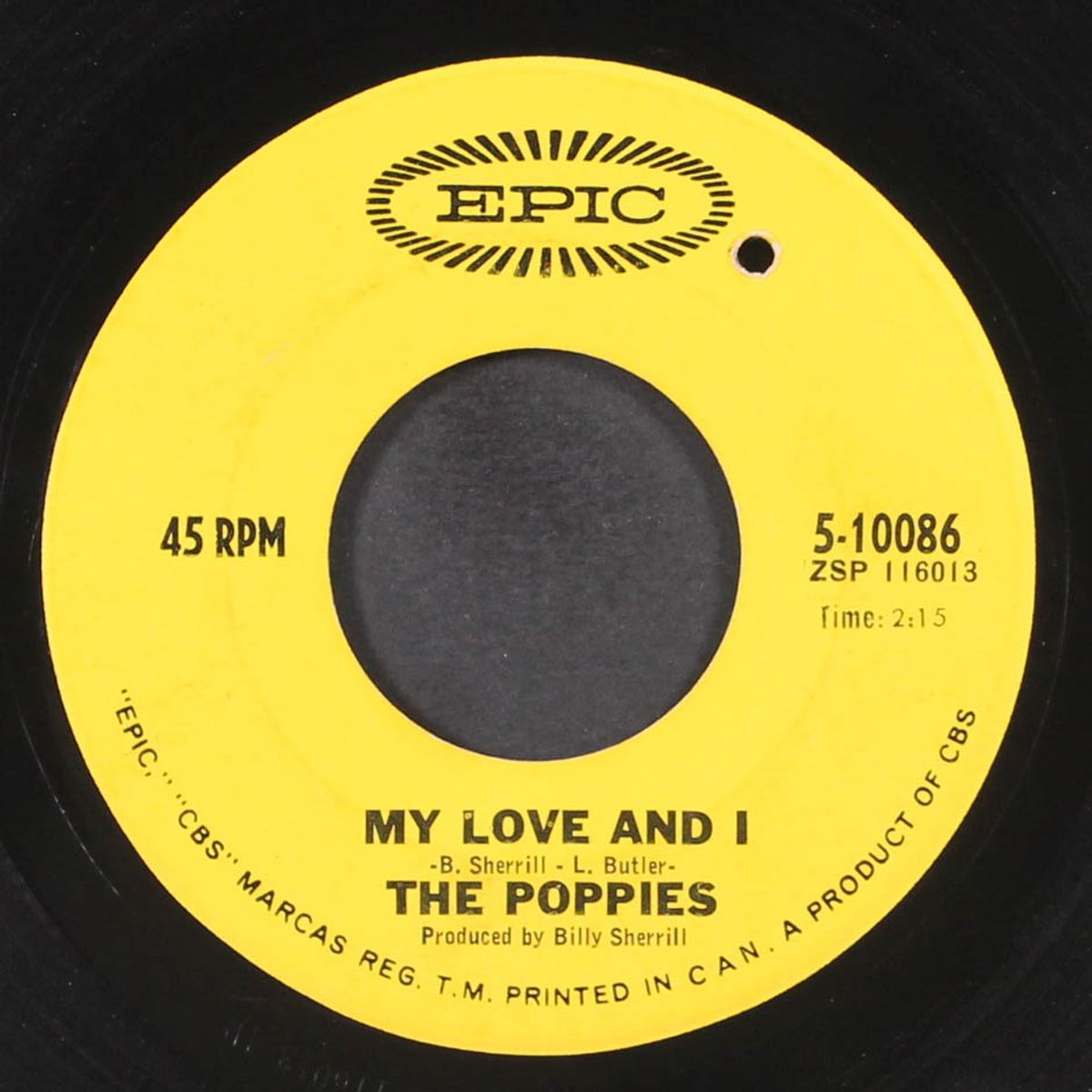 there's a pain in my heart by POPPIES