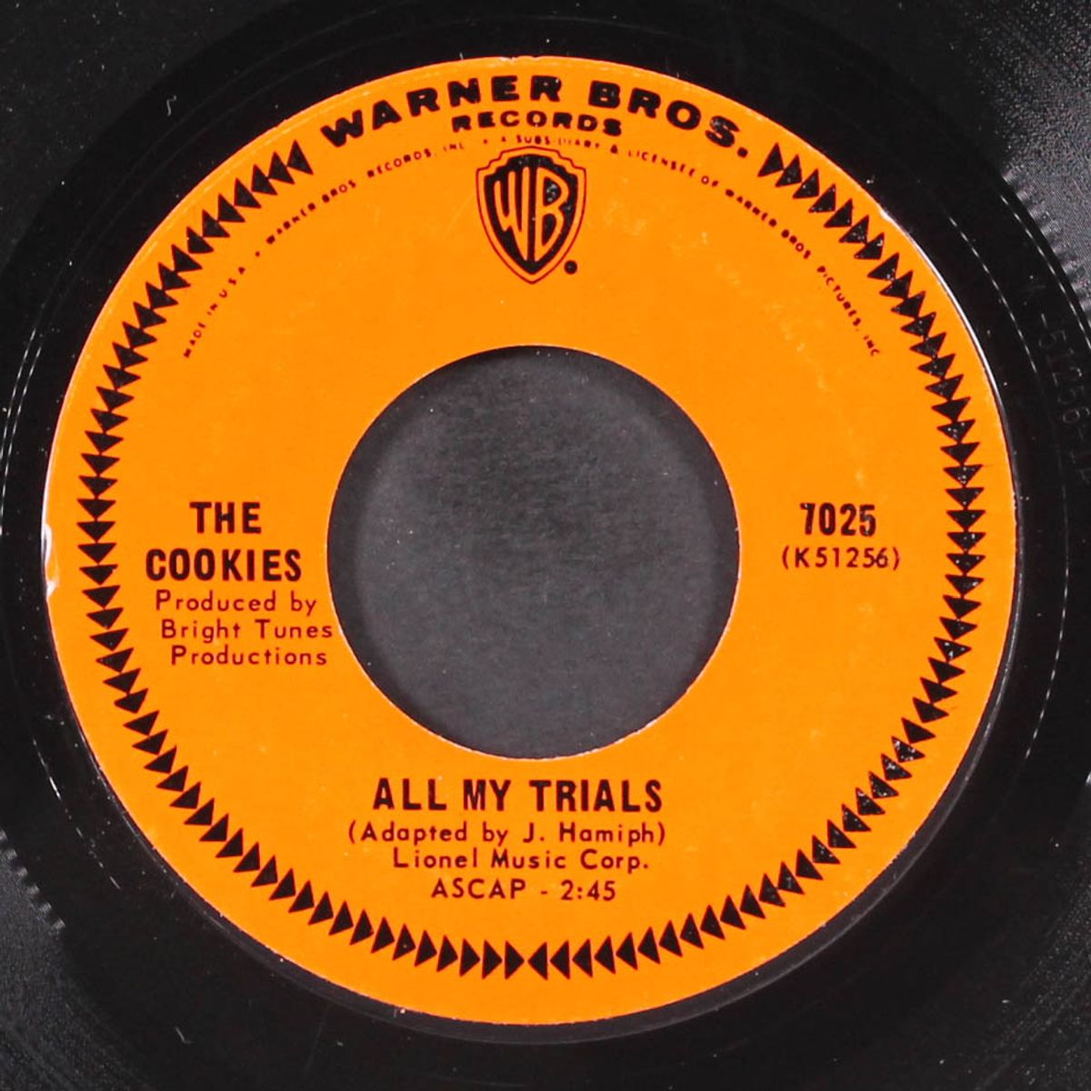 wounded / all my trials by COOKIES