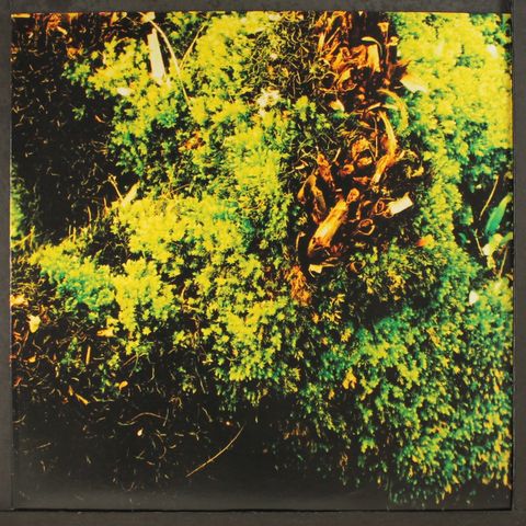 TIRATH SINGH NIRMALA & RICHARD YOUNGS