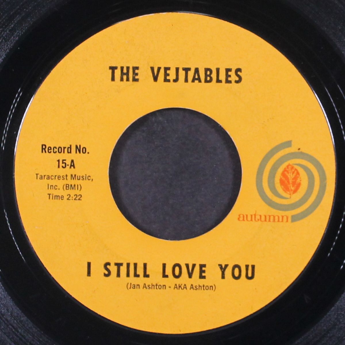 i still love you / anything by VEJTABLES