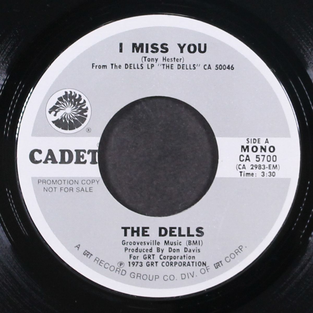 i miss you by DELLS