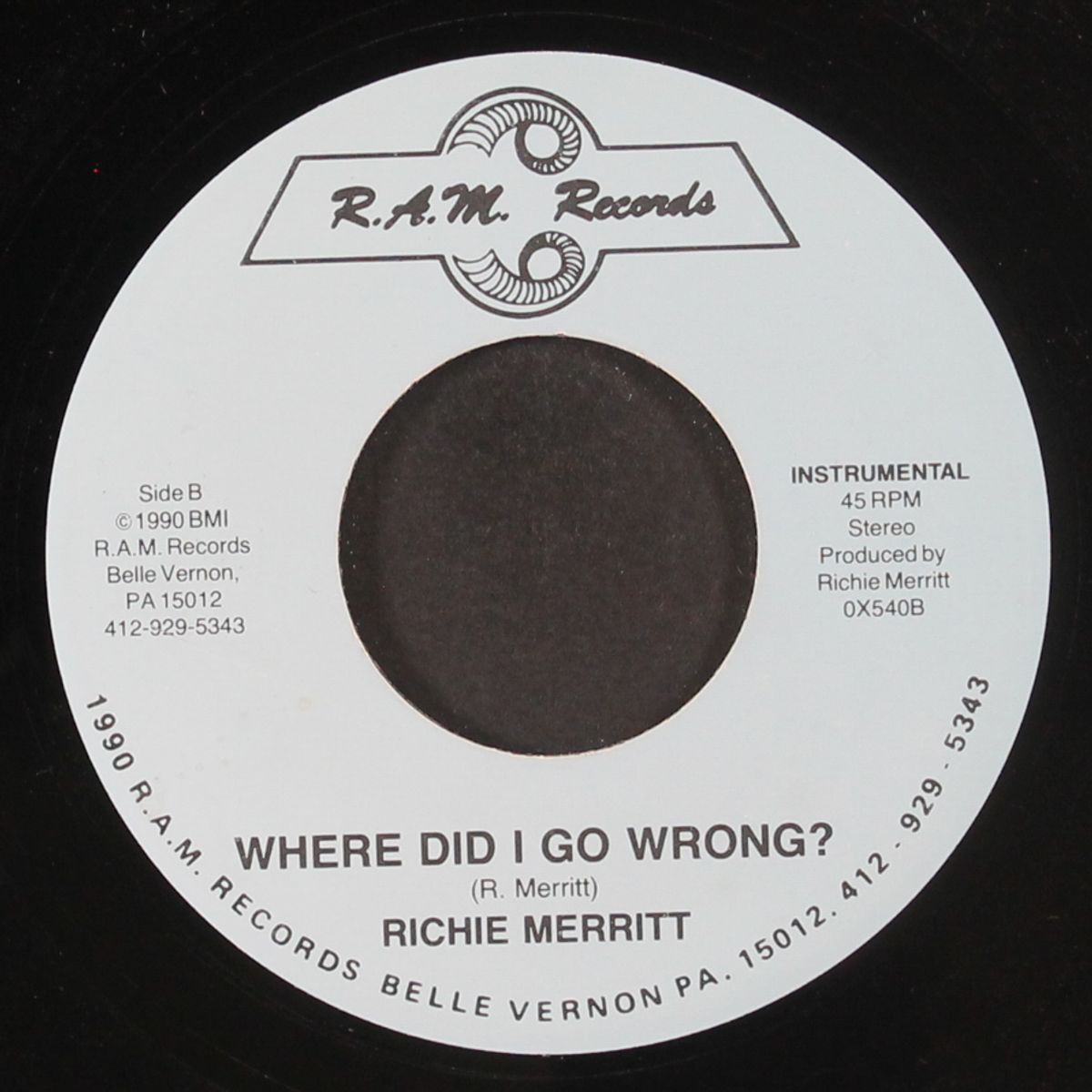 where did i go wrong? / instro by RICHIE MERRITT