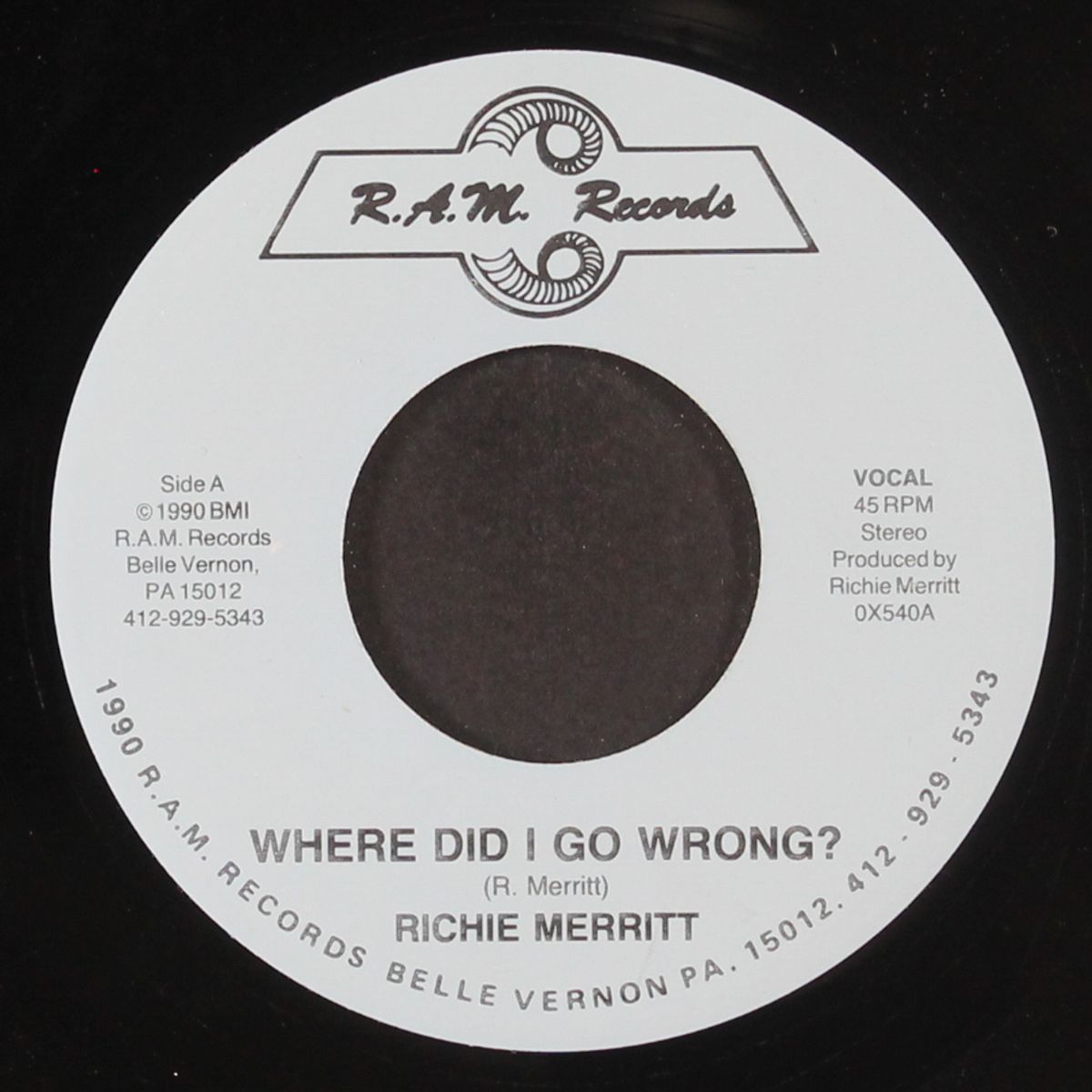 where did i go wrong? / instro by RICHIE MERRITT