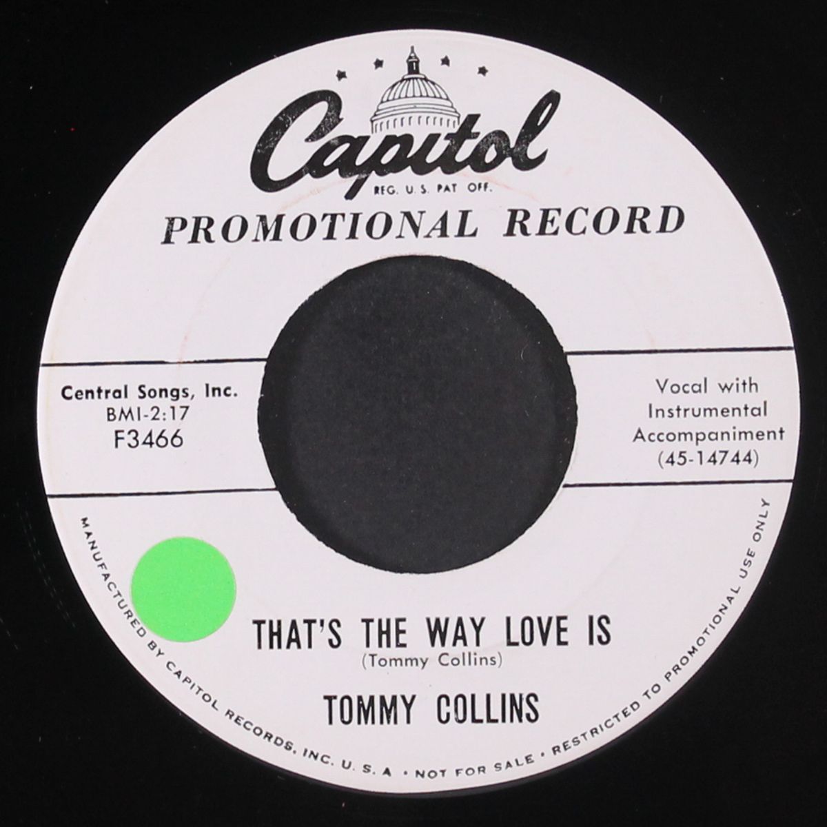 no love have i by TOMMY COLLINS