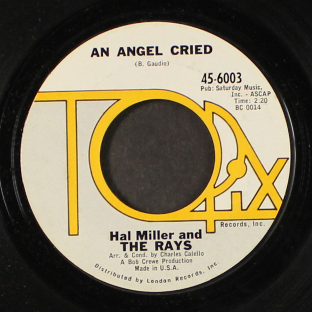 an angel cried / hope, faith and dreams by HAL MILLER & RAYS