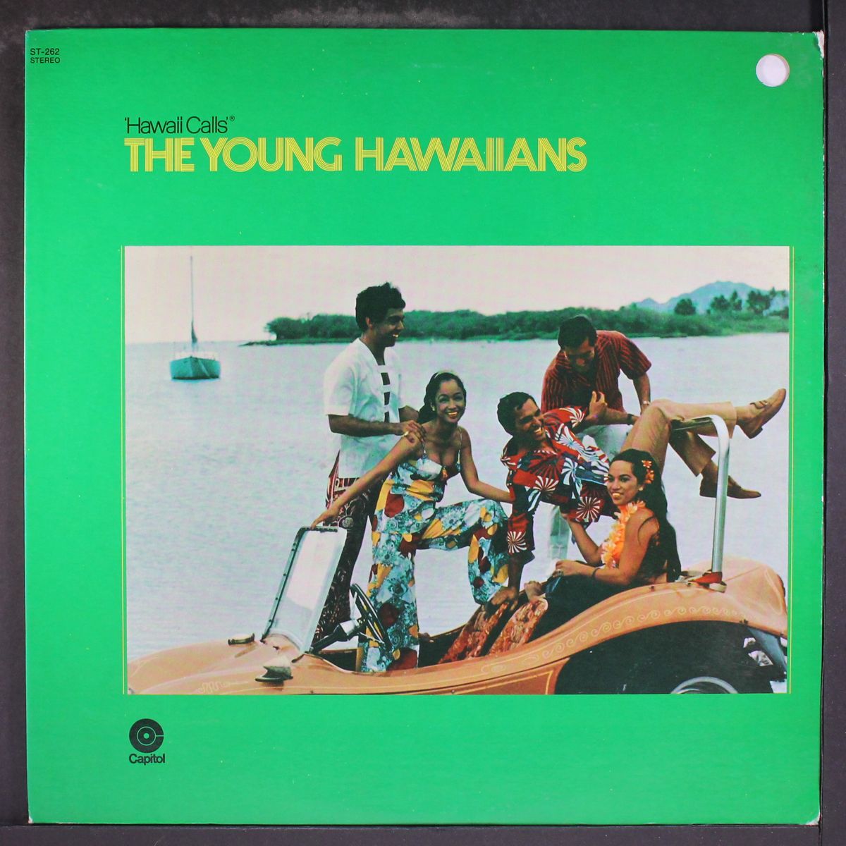 the young hawaiians by YOUNG HAWAIIANS