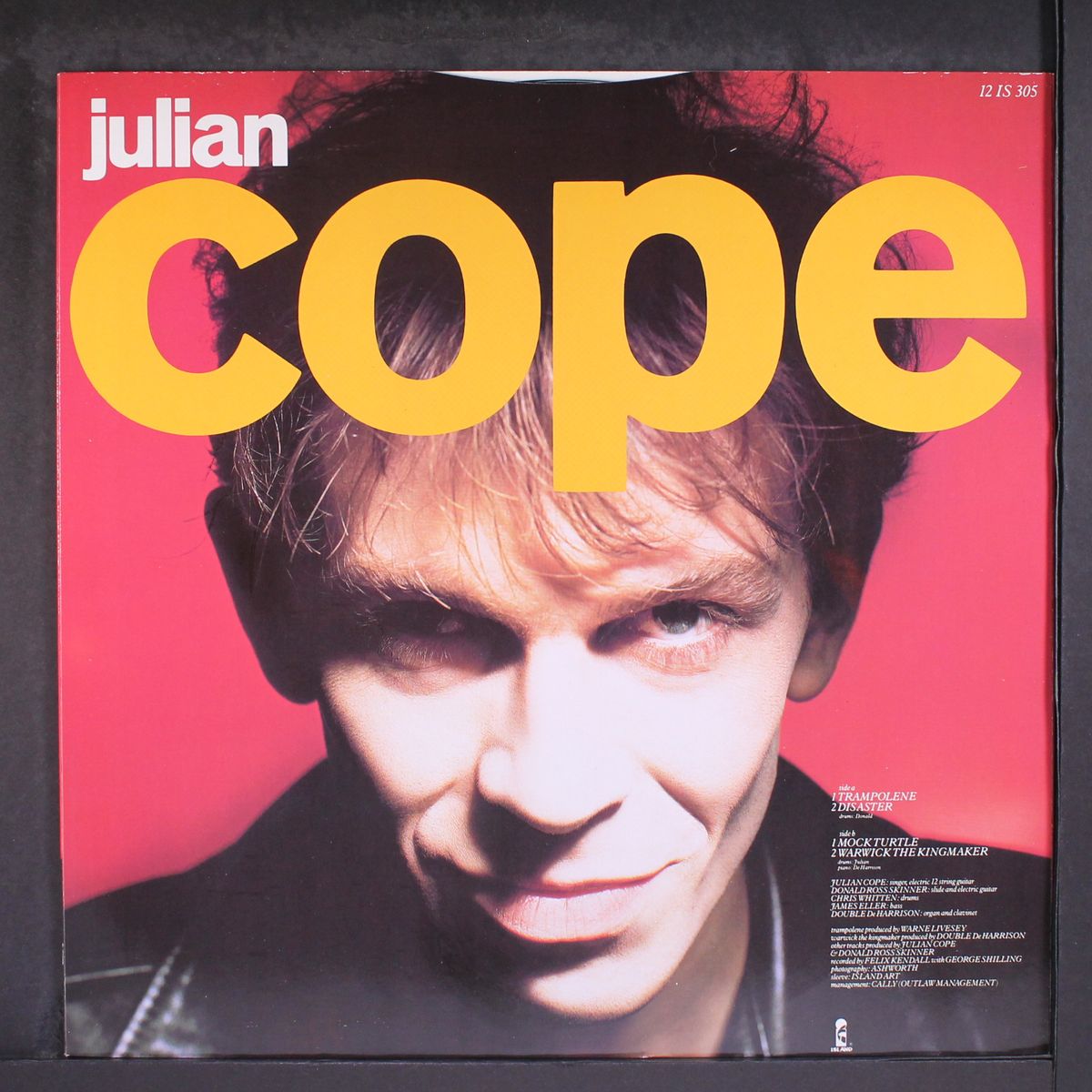 trampolene +3 by JULIAN COPE