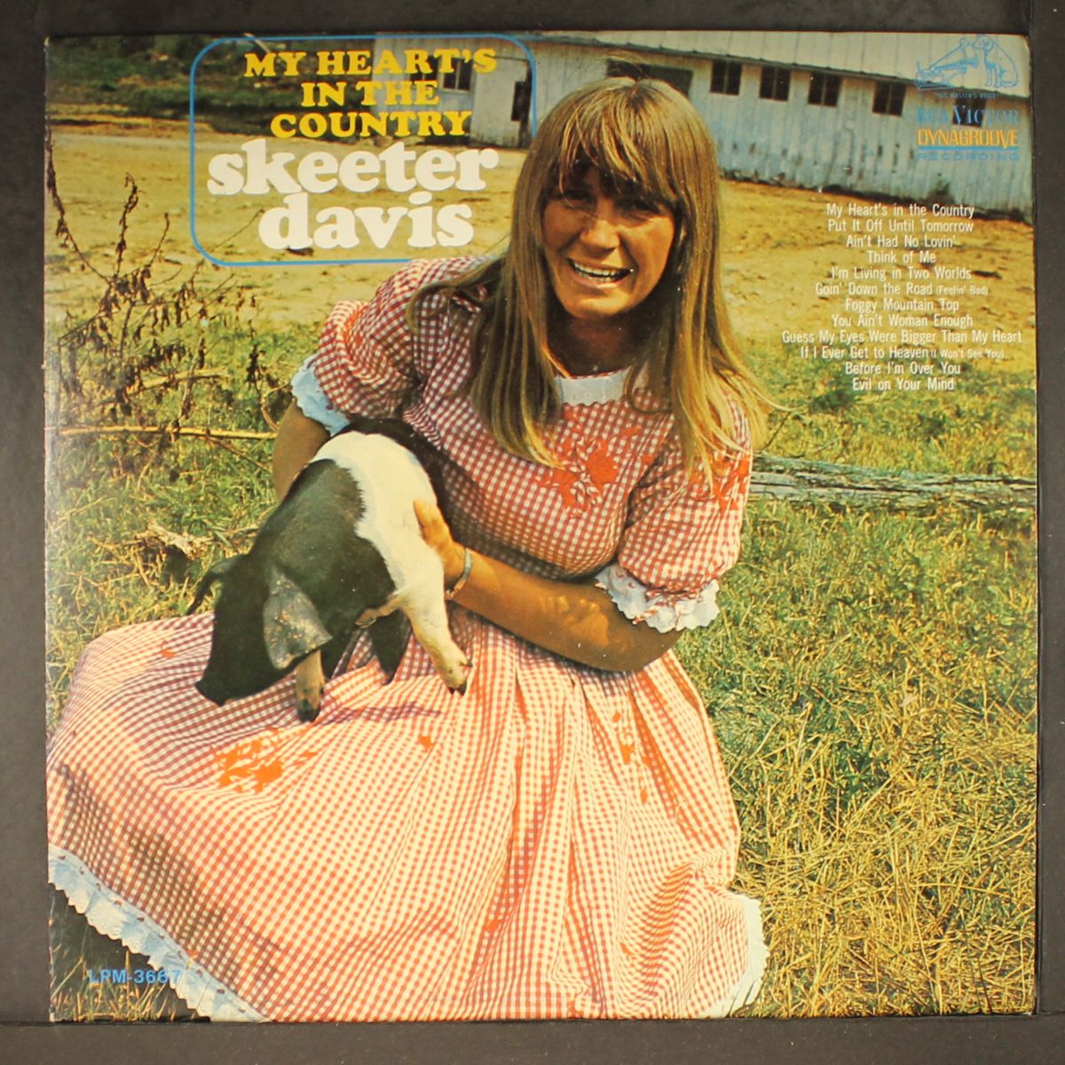 my heart's in the country by SKEETER DAVIS