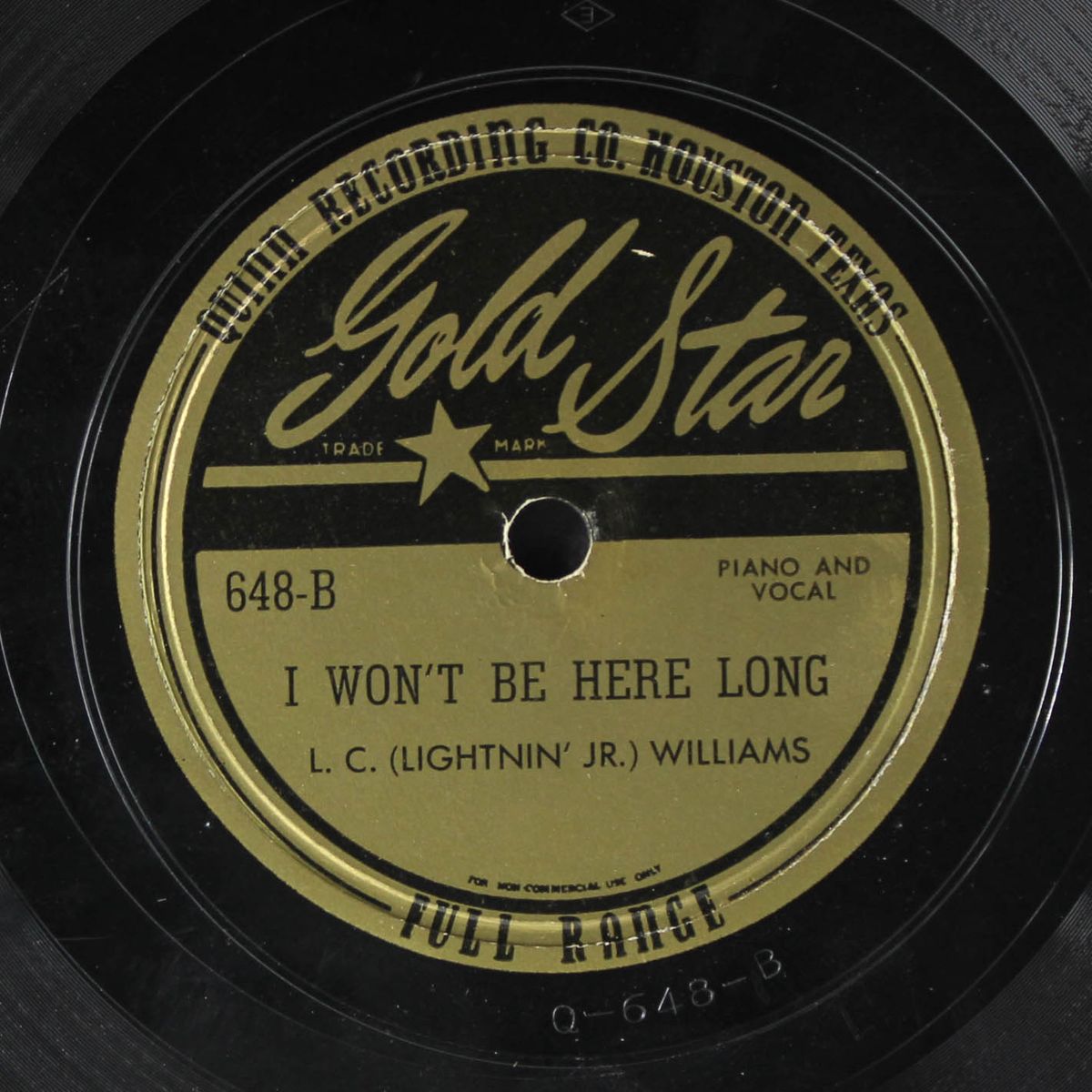 black woman / i won't be here long by L.C. WILLIAMS