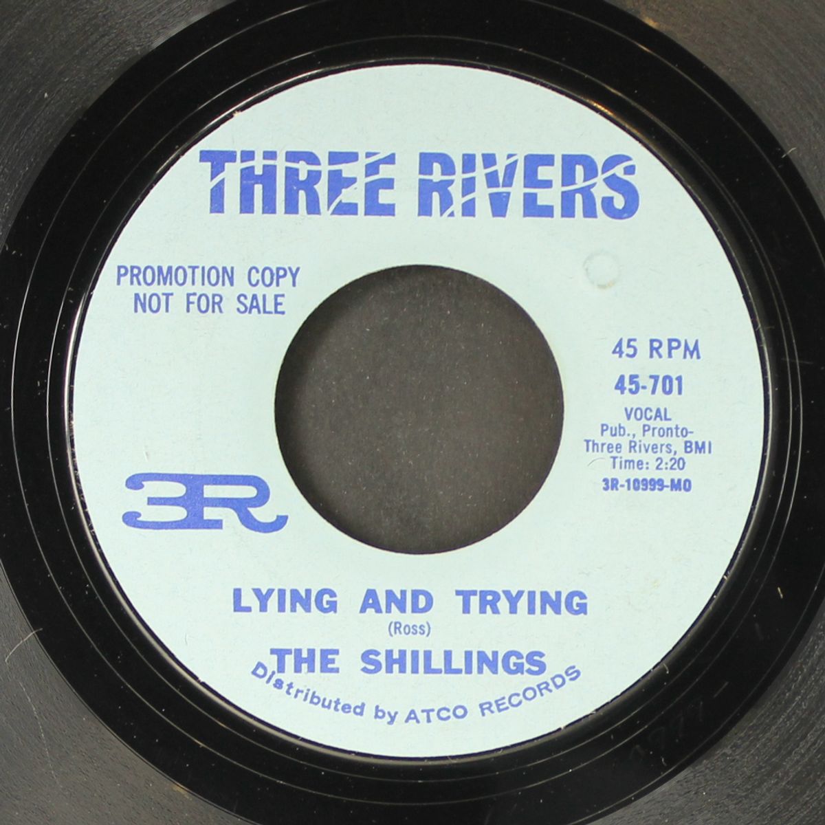 lying & trying / children & flowers by SHILLINGS