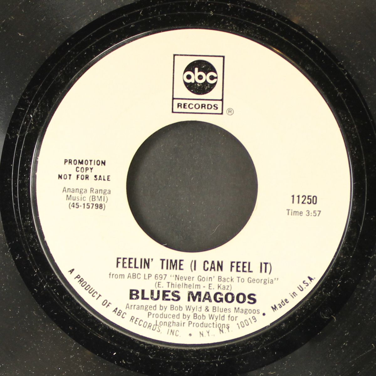 never goin' back to georgia by BLUES MAGOOS