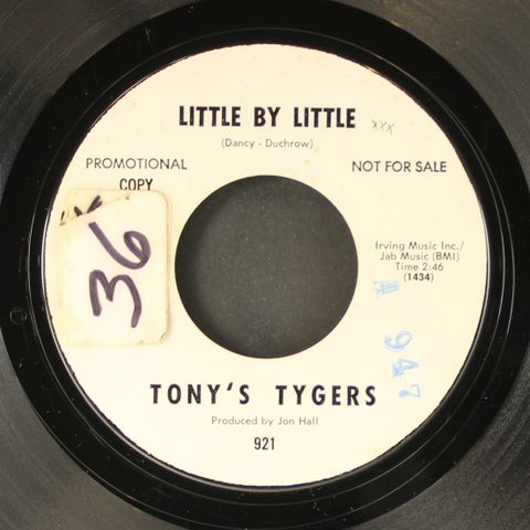 TONY'S TYGERS