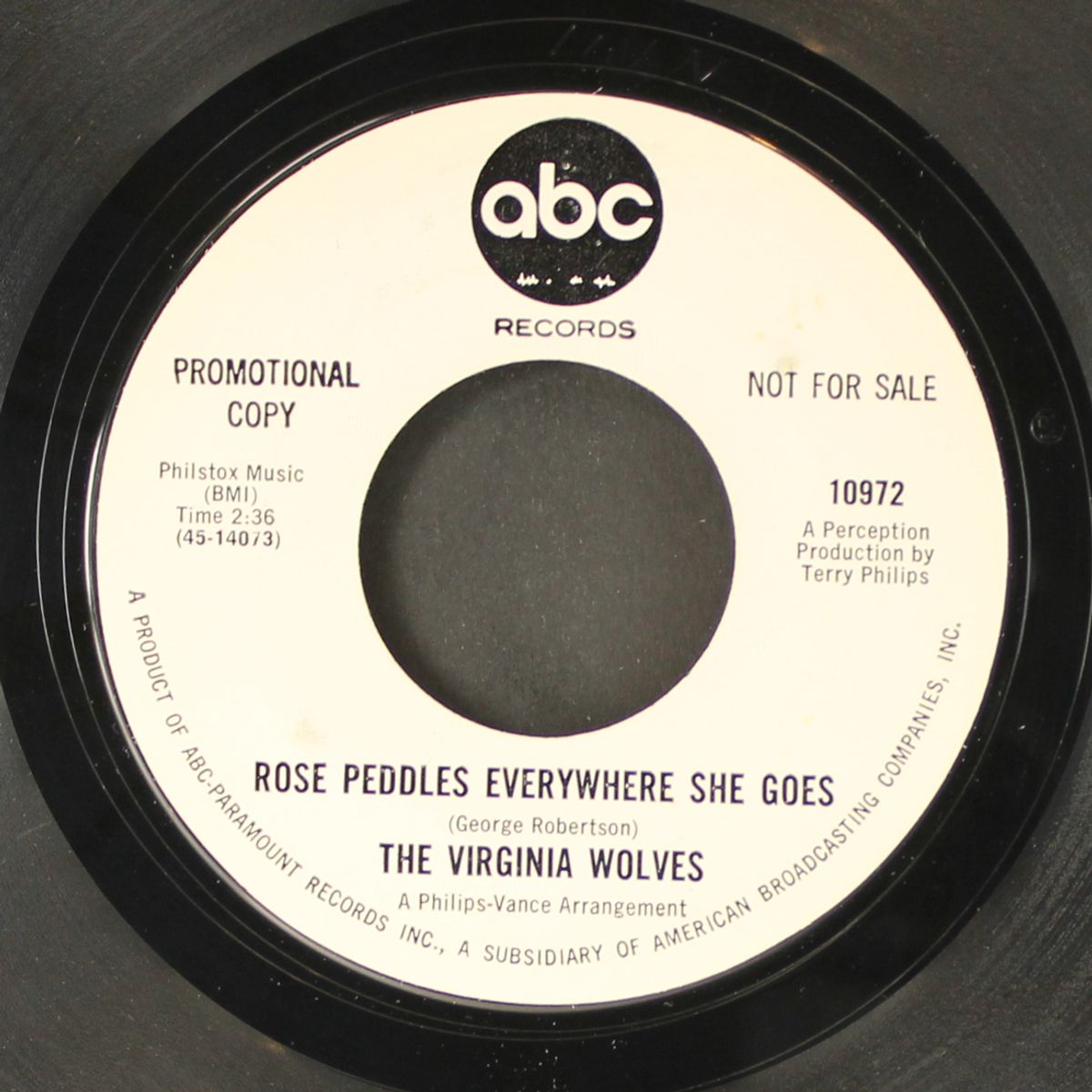 i can't believe that you're in love with me by VIRGINIA WOLVES