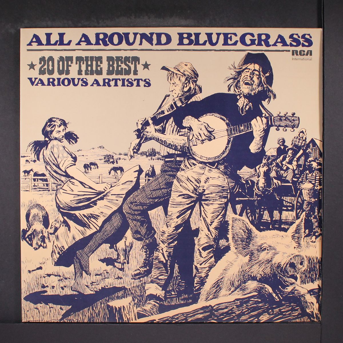 all around bluegrass by VARIOUS