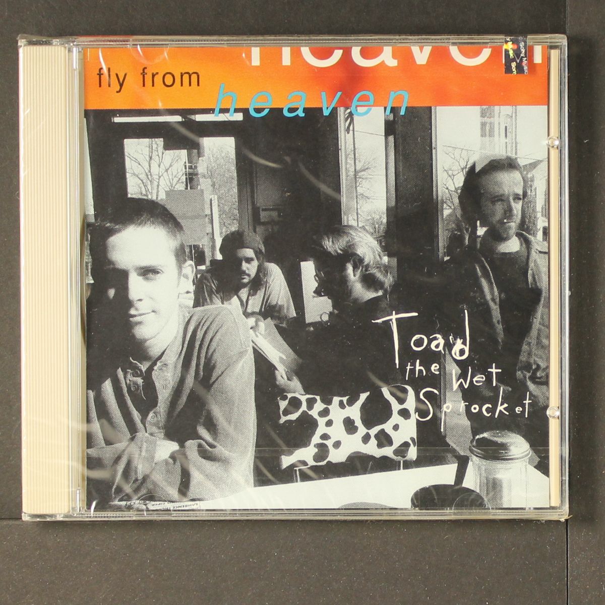 fly from heaven by TOAD THE WET SPROCKET